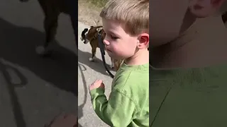 Autism Finds a Dog