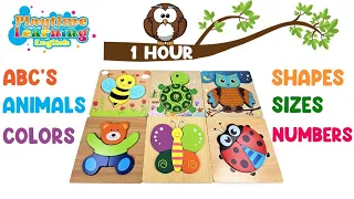 Toddler Learning ABC's, Colors, Animals, Emotions, Numbers, Shapes | 1 hour | #preschool