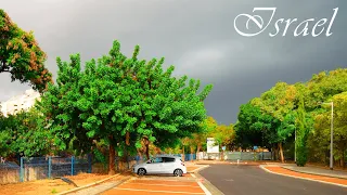 The Long-Awaited Rain in Israel. Relaxing Walk in The Rain in Ness Ziona