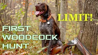 GSP's First Woodcock Hunt | LIMIT!!!