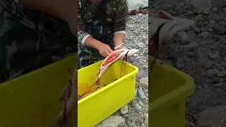 Рыбалка в Магадане