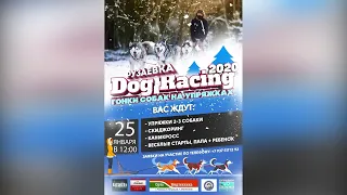 Dog Racing 2020 Гонки собак на упряжках 25 января