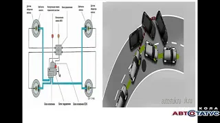 Электронные системы помощи водителю Автостатус