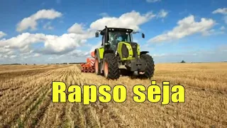 Rapso sėja su Gaspardo Gigante ir Vaderstad Tempo #2 dalis