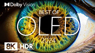BEST OLED 2024 | DOLBY VISION® (8K HDR)