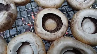 Bushcraft Cooking Grilled Mushrooms In The Forest