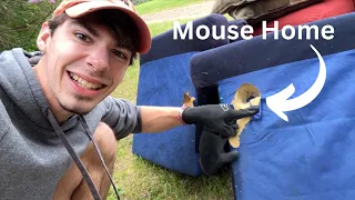 Found a mouse home while cleaning the camp lounge