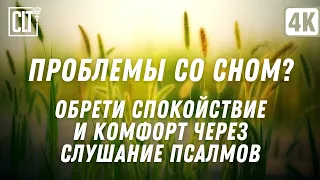 Проблемы со сном? Путь к истинному миру: Обретение спокойствия через слушание Слова | Relaxing