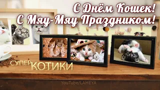 ДЕНЬ КОТИКА🌸 С Днем Кошек и Первым Днем весны! Классное Поздравление! 🌸Красивая Музыкальная Открытка