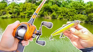 Fishing TOPWATER for BIG Bass (Pond Fishing)