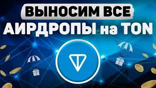 ПОЛУЧАЕМ ВСЕ АИРДРОПЫ на TON + 10 млн. TONCOIN | ЛУЧШИЕ ПРОЕКТЫ | ПОЛНАЯ ИНСТРУКЦИЯ