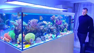 GERMAN REEF TANKS - "next level" Reef Aquarium TOUR - 1500 liter / 400 gallon + Acanthurus Achilles