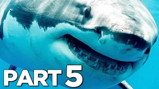 ELDER SHARK VS GREAT WHITE SHARK in MANEATER Walkthrough Gameplay Part 5 (FULL GAME)