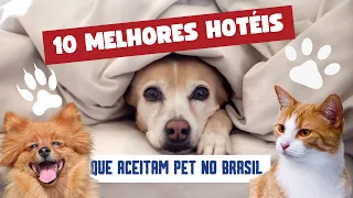 Os 10 melhores hotéis que aceitam pets no Brasil | HOTEL PET FRIENDLY