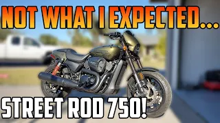 Not What I Expected - Buying Used Harley Davidson Street Rod 750 - First Ride, Review, Impressions