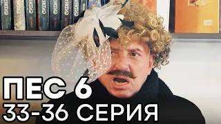 Сериал ПЕС 6 СЕЗОН - 33 - 36 серия - ВСЕ СЕРИИ ПОДРЯД | СЕРИАЛЫ ICTV