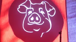 Australian Pink Floyd - pigs 3 different ones