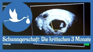 Schwangerschaft: Die ersten 3 kritischen Monate