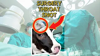 Surgery Snot!? 😨 (fresh from your breathing tube)