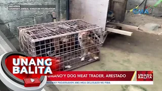 Lalaking umano'y dog meat trader, arestado | UB