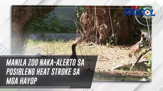 Manila Zoo naka-alerto sa posibleng heat stroke sa mga hayop