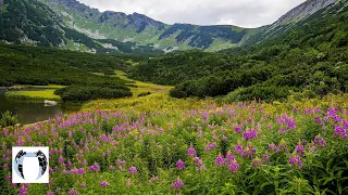 Hiking The Tatras: MICHAL MALACHOVSKÝ