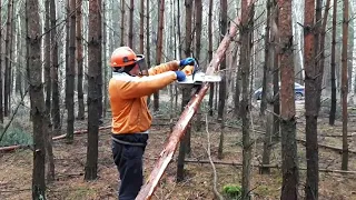 Stihl ms-172 Nowość-2022 Prezetacjia i Pierwsze Prace 😀🌲