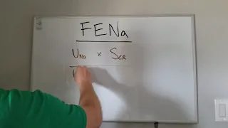 FENa- Mnemonic for Fractional Excretion of Sodium (Na)