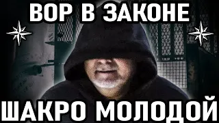 Вор в  законе  Шакро  Молодой. Подбор самых дерзких видео