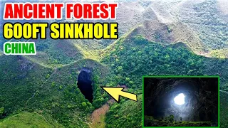 China Finds Ancient Forest in 600ft Sinkhole (2022)