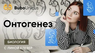 Онтогенез | БИОЛОГИЯ ЕГЭ | Лина Клевер