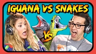 YOUTUBERS REACT TO IGUANA VS. SNAKES