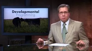 The Angus Report, Sept. 22, 2014: Top News