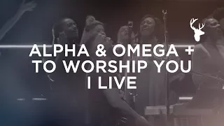 Alpha & Omega + To Worship You I Live - Alton Eugene | Bethel Worship