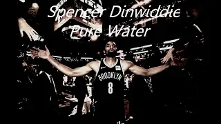 Spencer Dinwiddie - "Pure Water" ᴴᴰ (NBA 2019 Season mix)