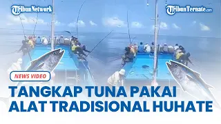 Melihat Cara Nelayan Tidore Menangkap Ikan Tuna Pakai Alat Tradisional Huhate