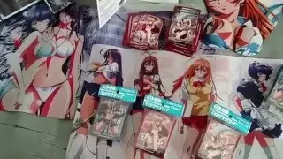 My Ikki Tousen Collection in the end of 2015