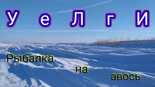 ✌УеЛгИ✌Рыба нашла меня сама!!! А так можно было? 🤔 + обзор подводной камеры.