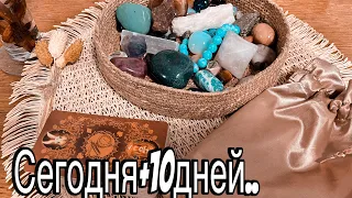 ❤️ Сегодня + 10 Дней! Что будет? Что случится? Гадание на КАМНЯХ! ❤️