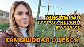 Камышовая Одесса: уникальный туристический маршрут 2020