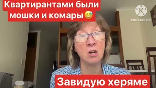 Анжелика Снежинская А были ли квартиранты?😅Оформление инвалидности Халтуру, как спасение от статьи.