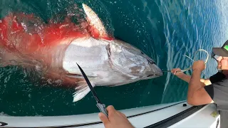 WHAT WICKED TUNA *DOESN'T* SHOW (BTS of the Giant Bluefin Commercial Fishery)