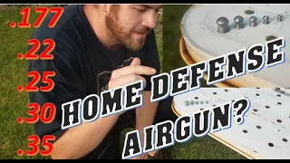 Airgun Self Defense 177 vs 22 vs 25 vs 30 vs 35cal