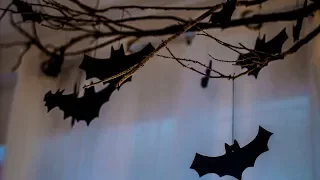 The Scariest Horror Decor - Halloween party decorations DIY (Video)