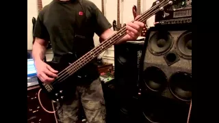 Bullet With Butterfly Wings - Smashing Pumpkins - Bass Cover