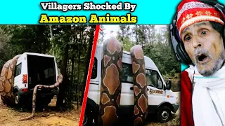 Villagers Surprised To See Interesting Animal Moments Filmed In The Amazon ! Tribal People React To