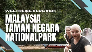 3 Nächte im Dschungel des Taman Negara Nationalparks - MALAYSIA 🇲🇾