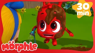 Muddy Morphle Takes A Bath | Morphle | Cars, Trucks & Vehicles Cartoon | Moonbug Kids