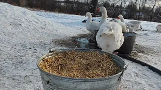 Открываю секреты ! разоблачение МИФЫ ☝️