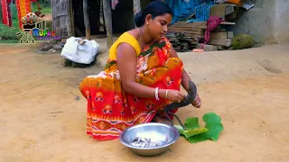 RURAL LIFE OF BENGALI COMMUNITY IN TRIPURA, INDIA , Part  -  5 ...